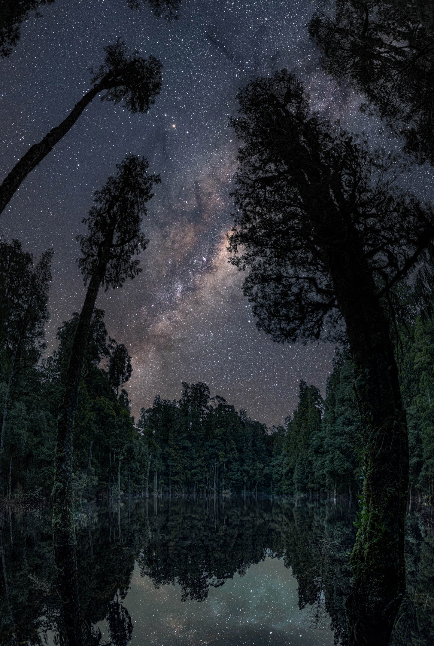 The Lagoon