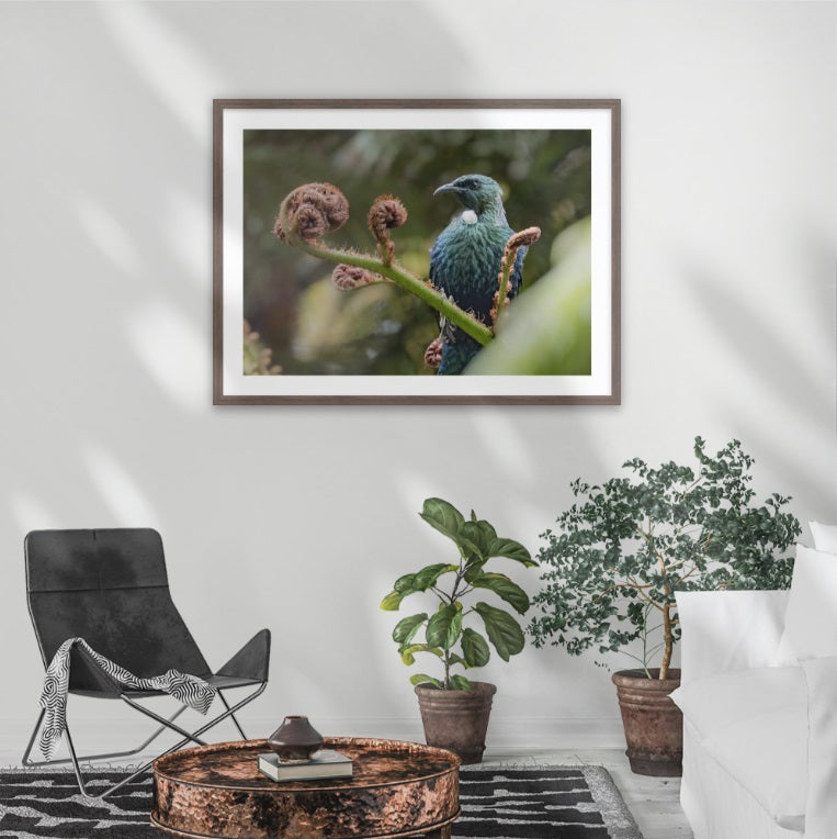 Tui watching on