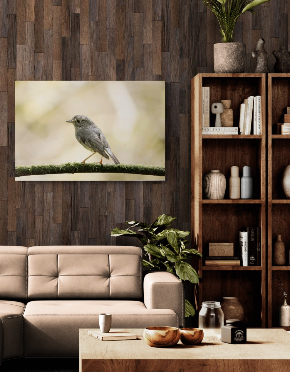 Silent Perch