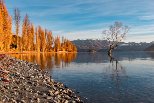 Lake Wanaka Sunrise