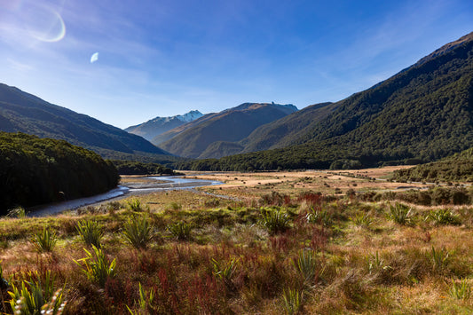 Makarora - Haast Pass