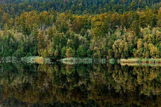Lake Matheson Reflections
