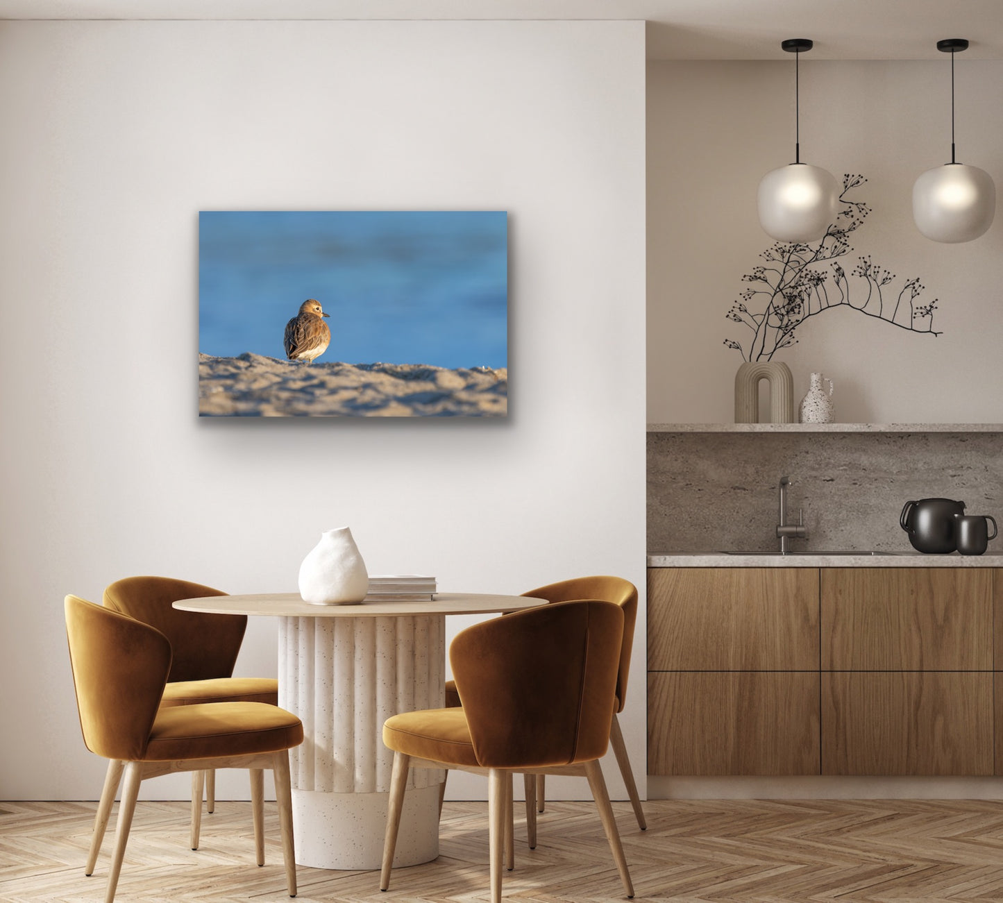 Dotterel