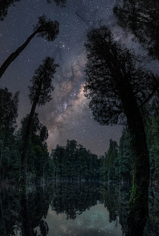 The Lagoon