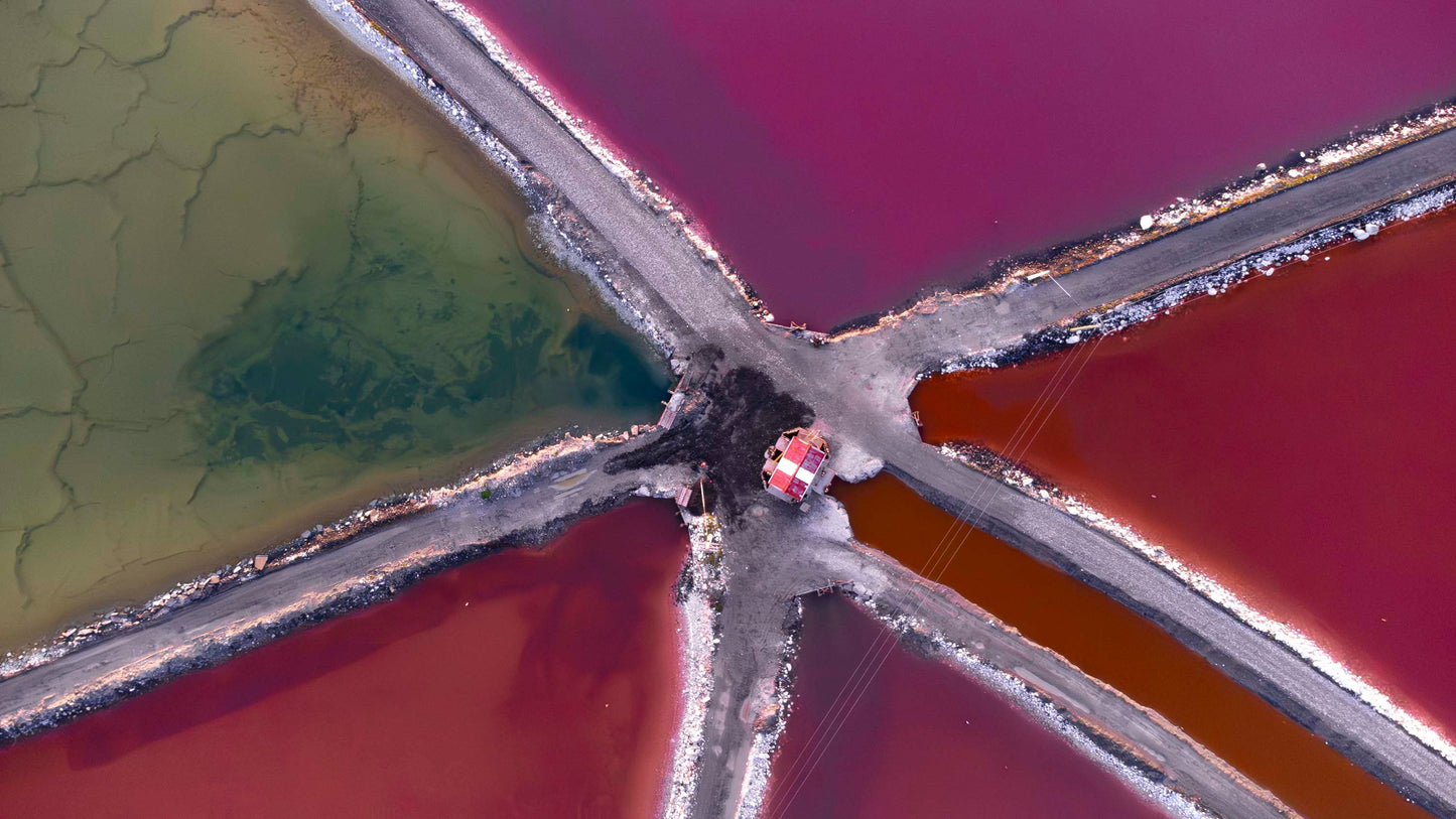 The Colour of Salt