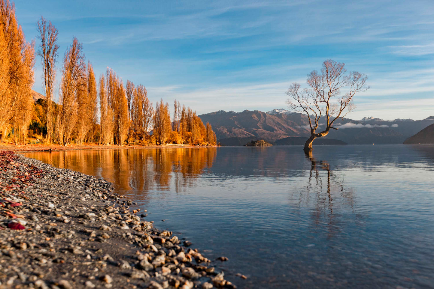 Autumn Reflections