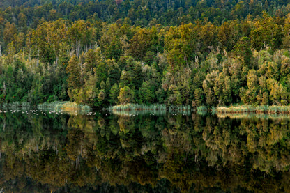 The Living Mirror