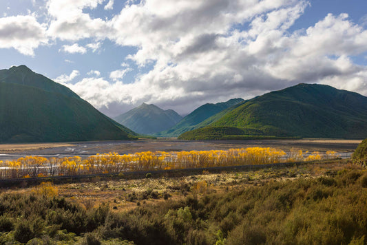 Valley of Light