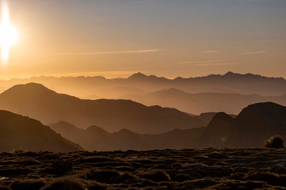 Golden Silence