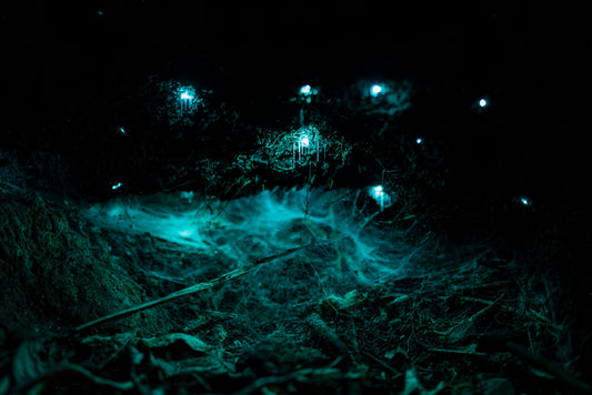 Hidden Lights
