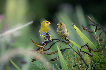 A Quiet Conversation