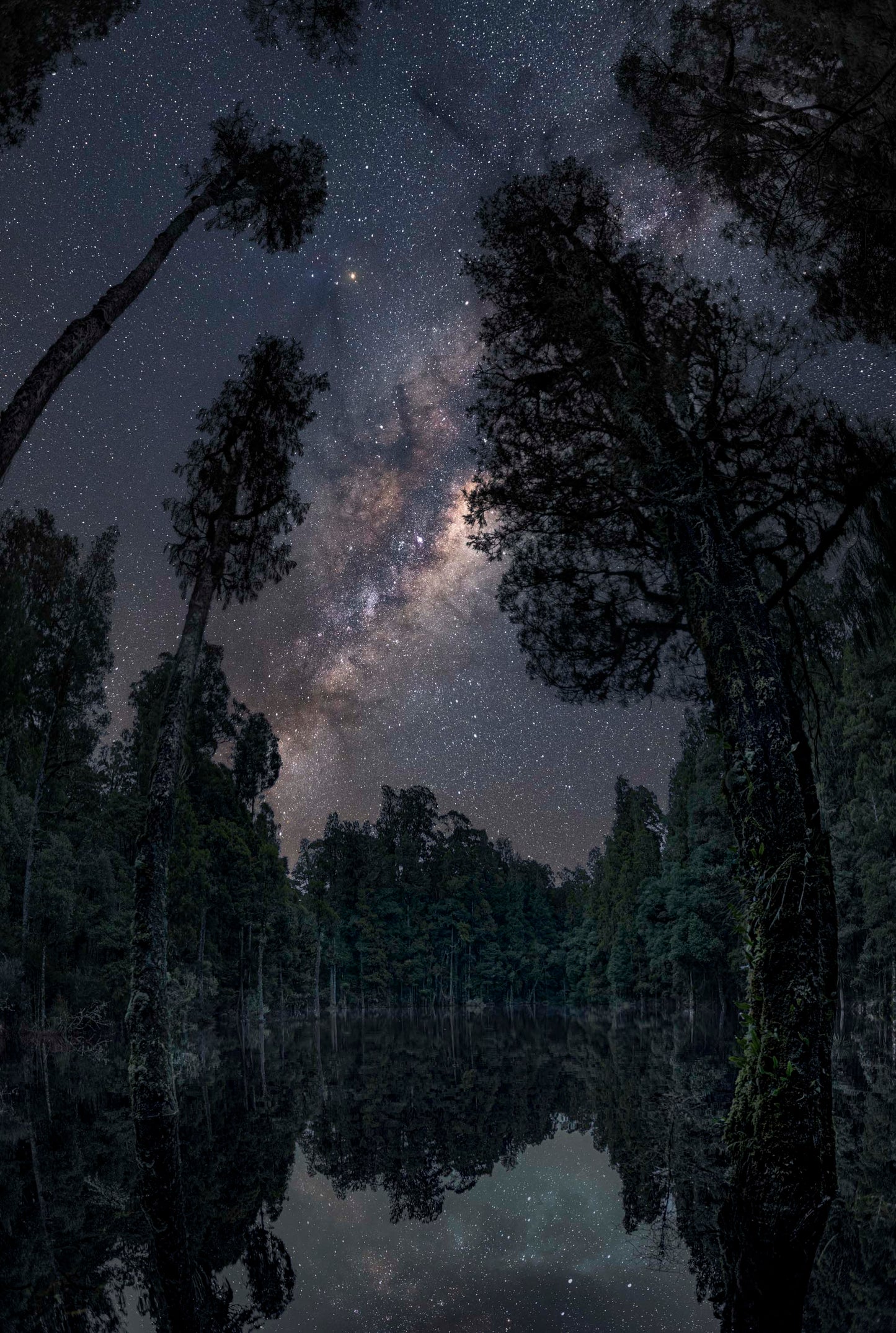 The Lagoon