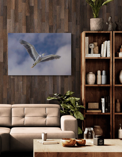 The Art of Flight