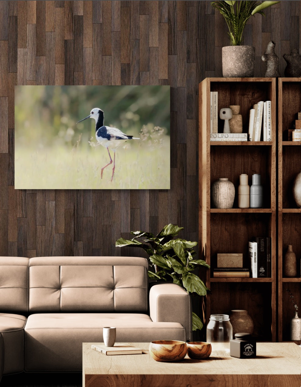 Wetland Elegance
