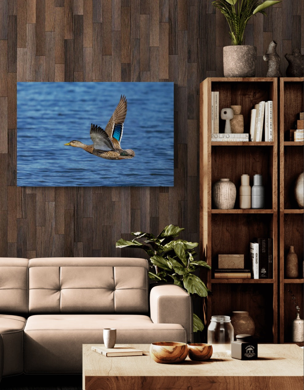 Wings Over Water